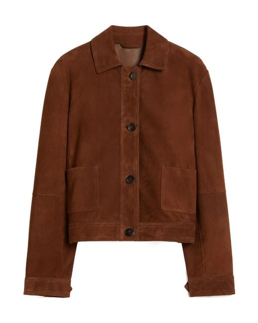Max Mara Brown Studio Baia Button-Up Jacket