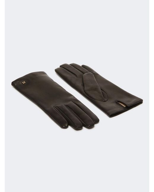 Max Mara Black Five-Finger Gloves