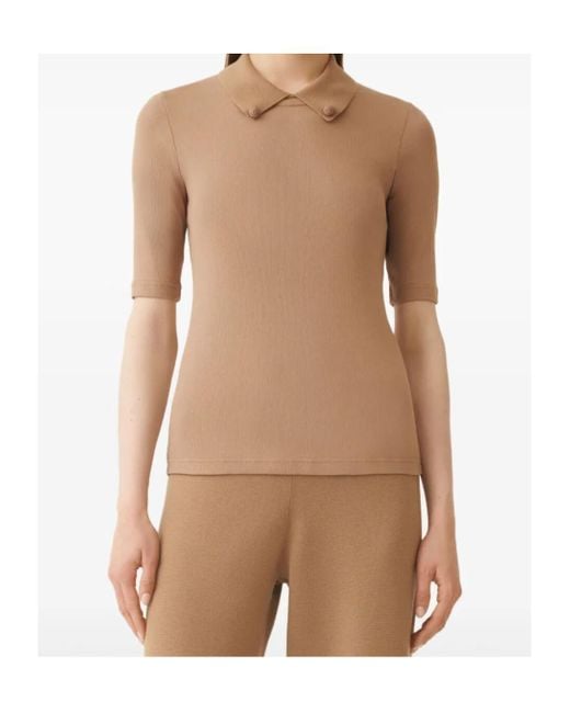 Fabiana Filippi Brown Short Sleeve T-Shirt With Knit Collar And Pins
