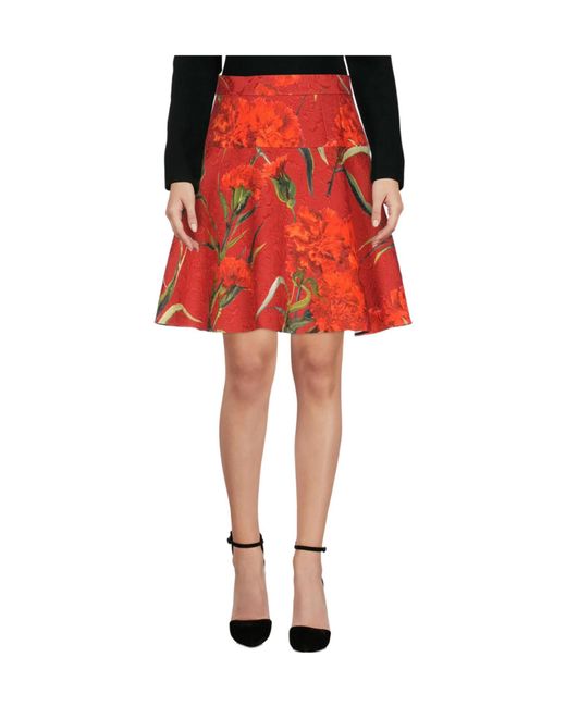 Dolce & Gabbana Red Floral Print Mini Skirt
