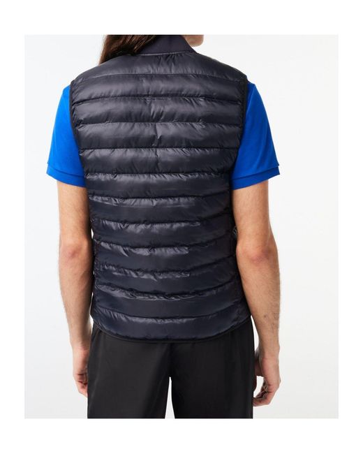 Lacoste Blue Quilted Gilet for men