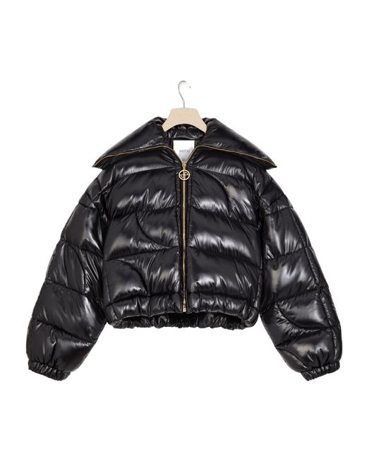 Patou Black Zip-Up Cropped Puffer Jacket