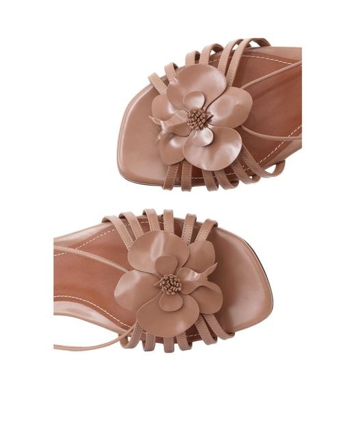 Zimmermann Multicolor Orchid Sandal