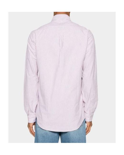 Polo Ralph Lauren Pink Custom Fit Striped Oxford Shirt for men
