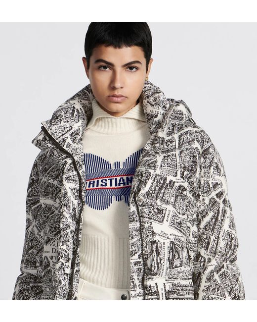 Dior Gray Alps Hooded Down Jacket