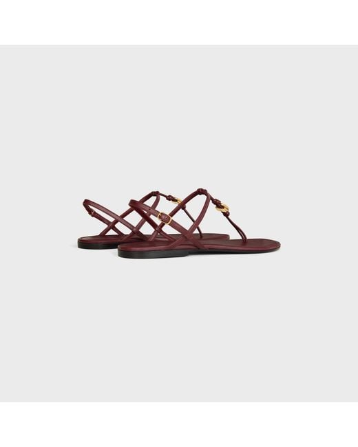 Céline Brown Penny Sandal