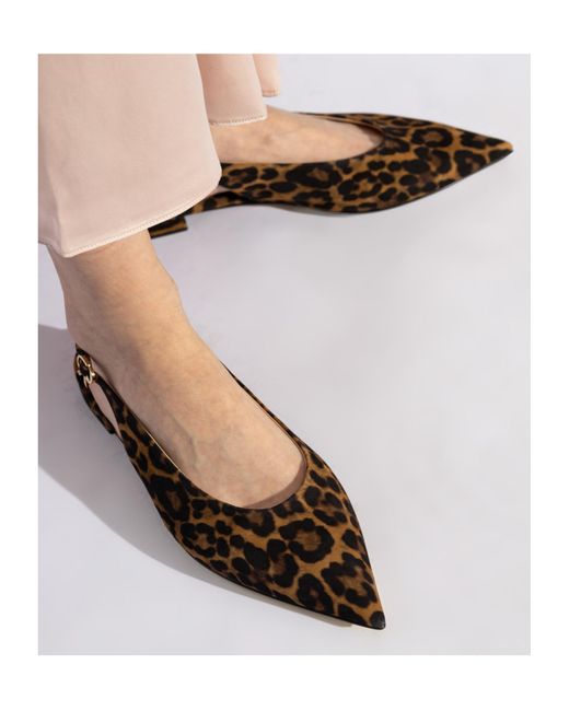 Gianvito Rossi Brown Leopard Printed Pointed Toe Flat Shoes
