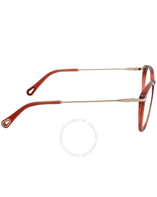 Chloé Multicolor Chloé Eyewear Round-Frame Glasses