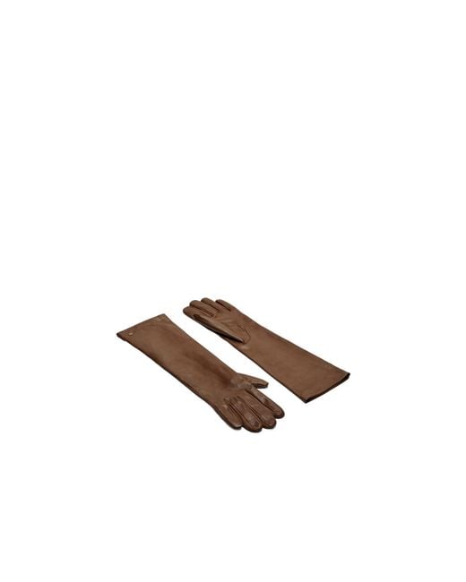 Max Mara White Logo Plaque Gloves