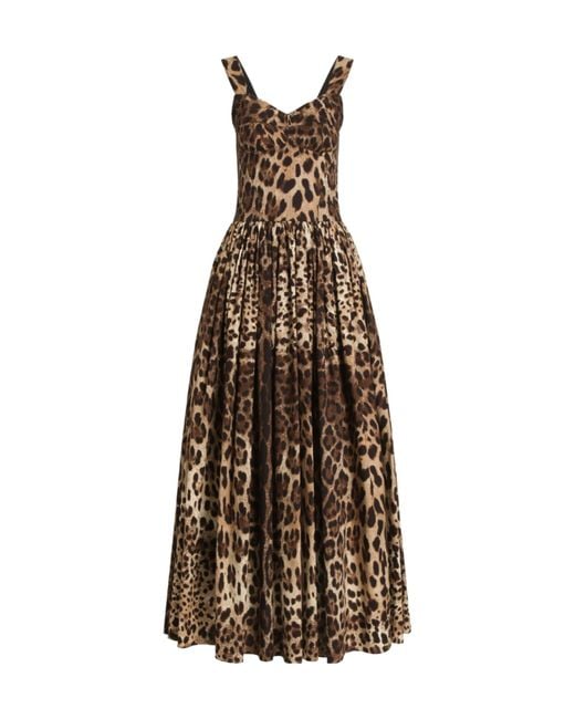 Dolce & Gabbana Multicolor Leo- Poplin Dress
