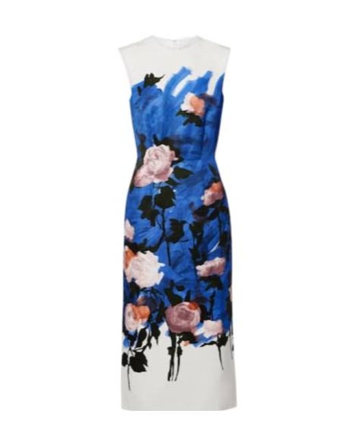 Erdem Blue Floral Cotton-Blend Midi Dress