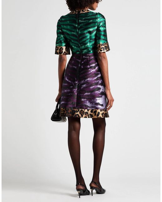 Dolce & Gabbana Green Animal Print Short-Sleeve Dress
