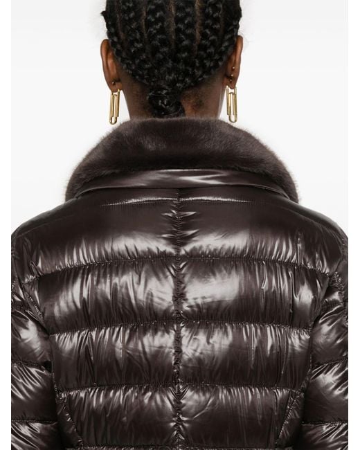 Herno Black Coats