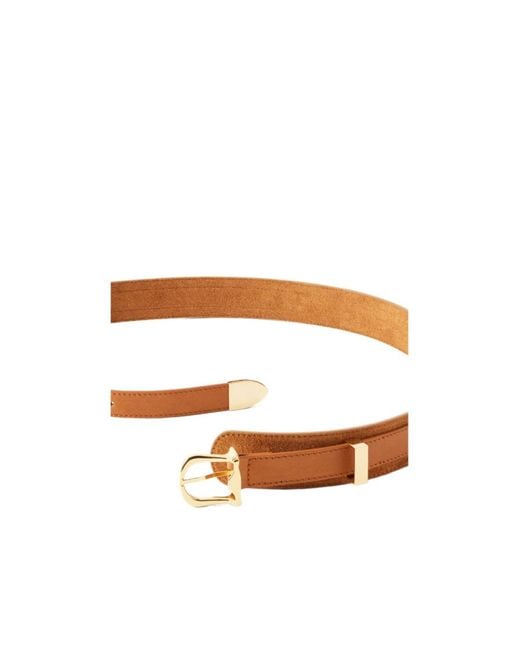 Giuliva Heritage Multicolor Suede And Leather Waist Belt