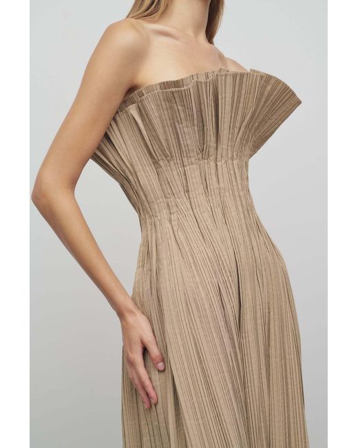 The Row Natural Strapless Dress