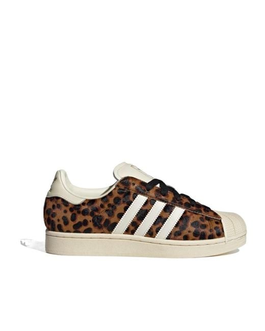 Adidas Originals Brown Superstar Ii Shoes