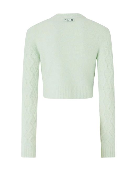 Pinko Green Dixie Girl Buttoned Cardigan