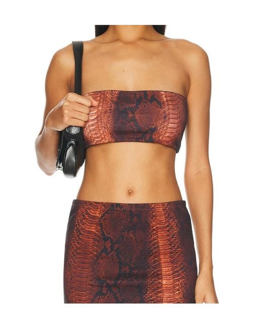 Jean Paul Gaultier Multicolor Printed Ribbed Bra