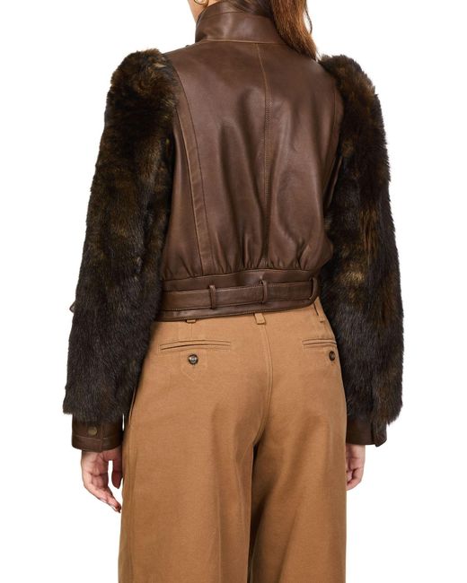 Chloé Brown High Collar Long Sleeve Leather Jacket