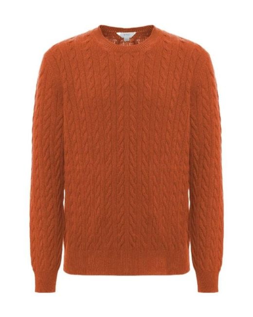Malo Brown Crew Neck for men