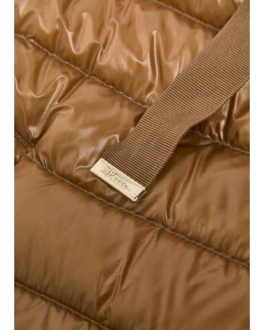 Herno Brown Padded Nylon Jacket