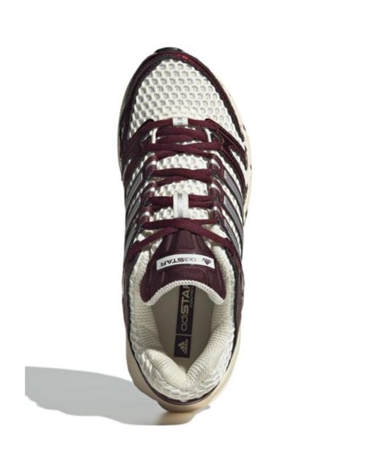 Adidas Originals Brown Adistar Control 5 Mesh Sneakers