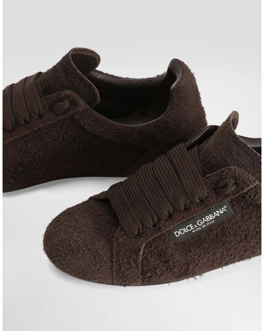Dolce & Gabbana Brown Portofino Merinos Low-Top Sneakers for men