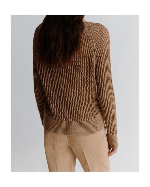 Marella Brown Cotton And Lurex Sweater