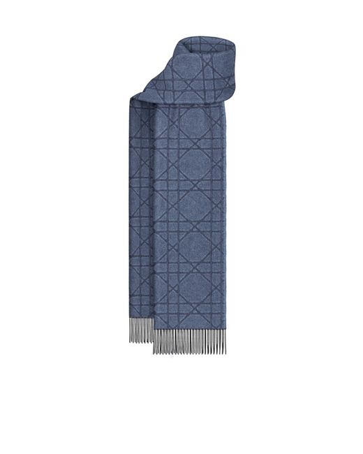 Dior Blue Cannage Scarf for men