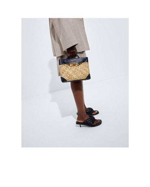 Bottega Veneta Metallic Small Andiamo