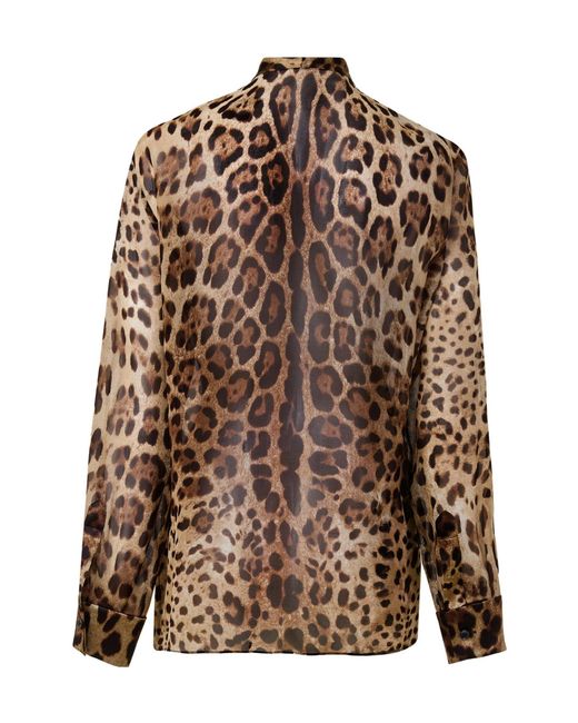 Dolce & Gabbana Brown Minimalist Leopardprint Shirt