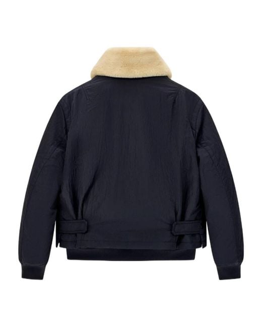 Emporio Armani Blue Cropped, Collared, Color-Block Padded Jacket With A Double-Layer Zipper for men