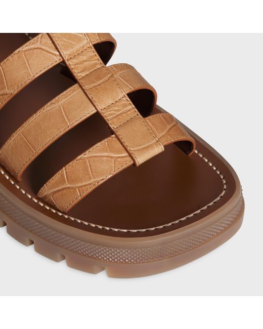 Céline Brown Clea Triomphe Gladiator Sandal