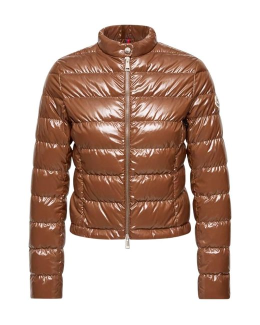 Moncler Brown Papillon Zip-Up Short Padded Jacket