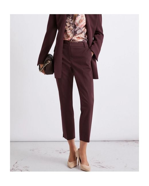 Marella Purple Stretch Cotton-Blend Trousers