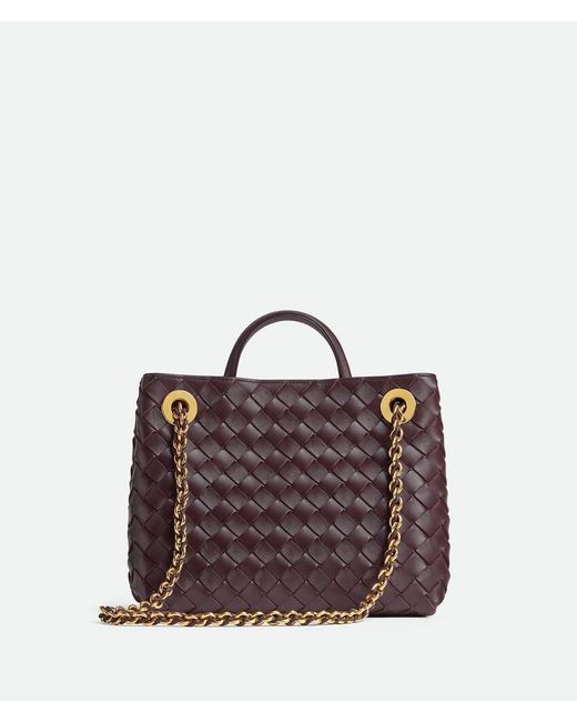 Bottega Veneta Purple Small Andiamo Chain