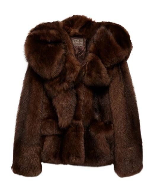 Prada Brown Long-Sleeved Coat