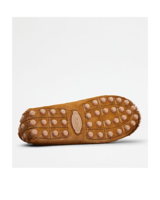 Tod's Brown Gommino Slip-On Loafers