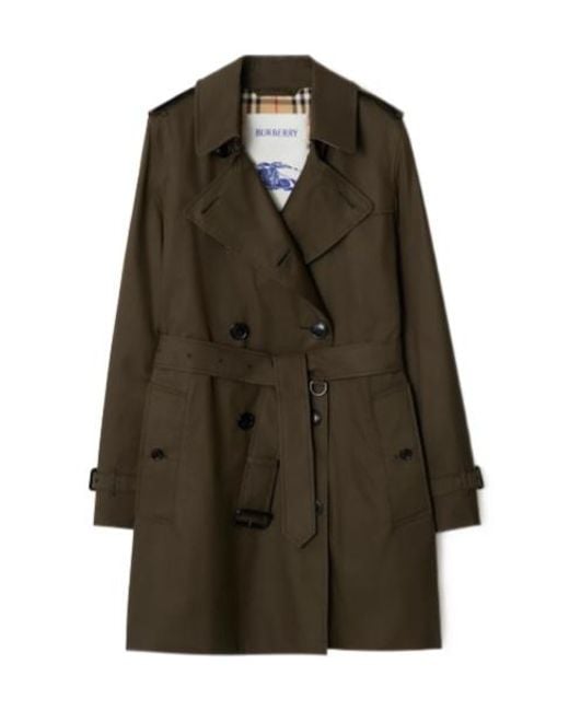 Burberry Brown Double-Breasted Trench Coat