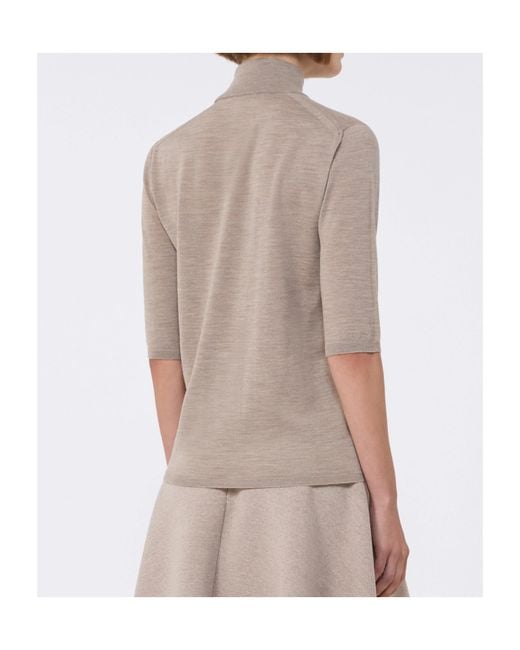 Max Mara Multicolor High-Neck Short-Sleeved Knitwear