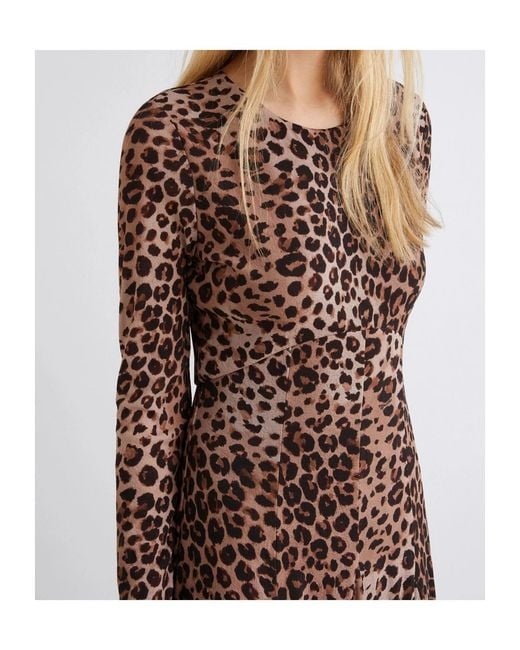 Marella Brown Printed Tulle Dress
