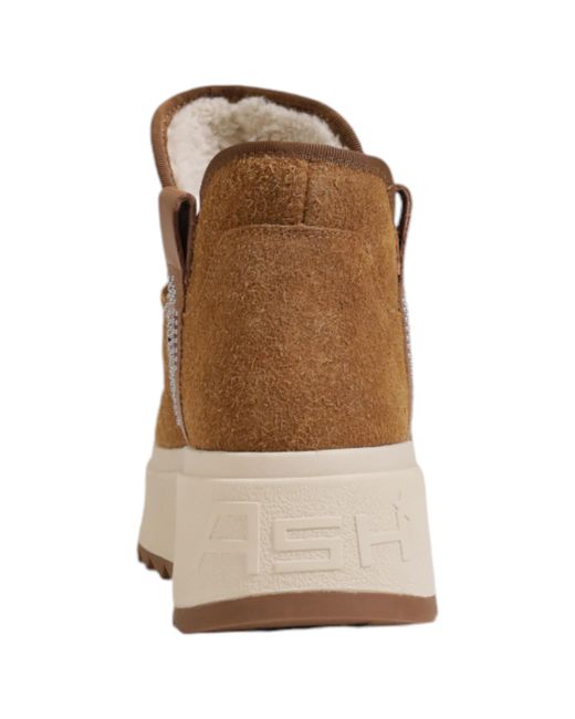Ash Brown Round-Toe Ankle Boots