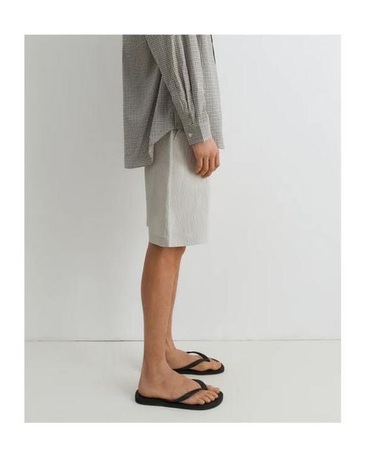 GIMAGUAS Gray Nicolas Pinstripe Shorts for men