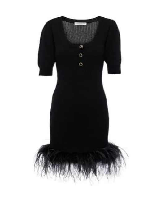 Alessandra Rich Black Feather-Trimmed Wool Minidress