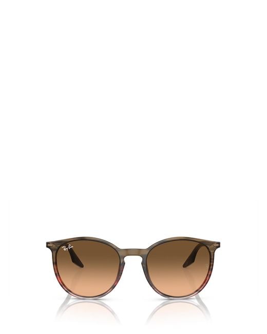 Ray-Ban Multicolor Rb2204 Oval-Frame Sunglasses for men