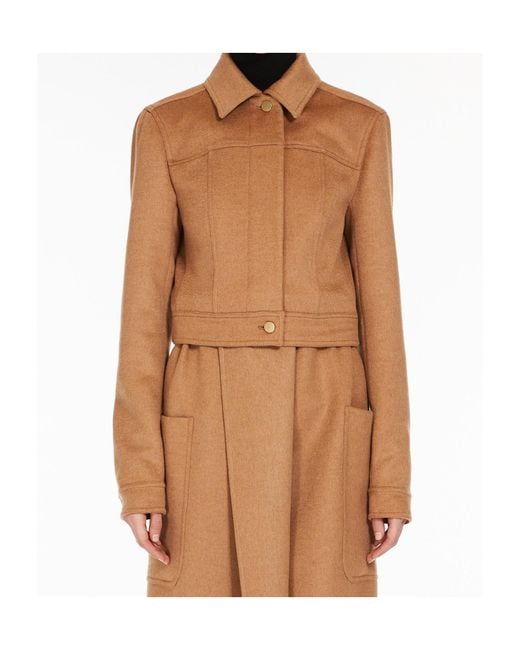 Max Mara Brown Cropped Fitted Jacket