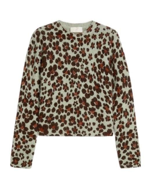 iBlues Black Printed Knit Top