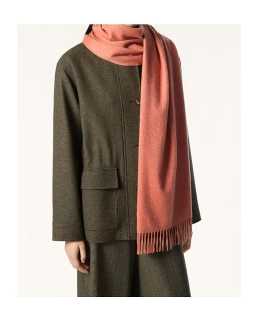 Loro Piana Pink Grande Unita Scarf