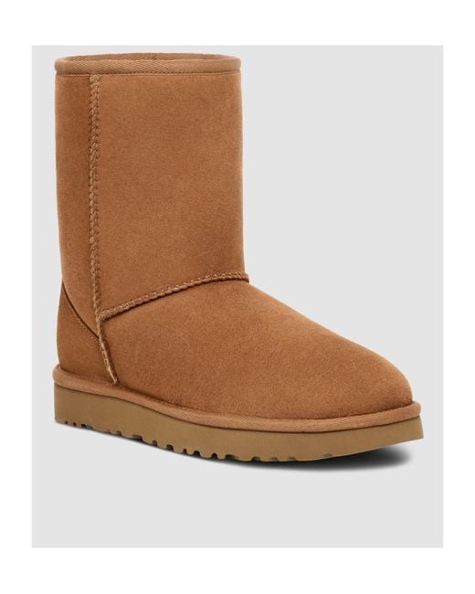 Ugg Brown Logo Snow Boots for men