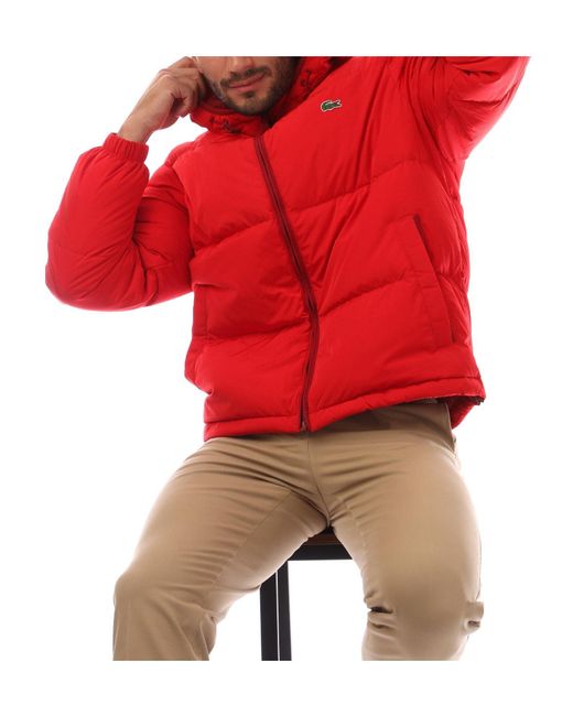 Lacoste Red Classic Warm Down Jacket for men
